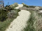 15 Ploughed Neck Road - Photo 19