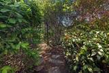 7 Blackhall Court - Photo 28