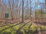 206 Landing Drive - Photo 87