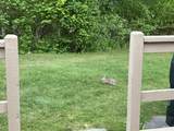 481 Buck Island Road - Photo 43