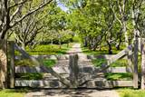 15 Forever Wild Way - Photo 17