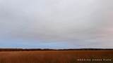 15 Forever Wild Way - Photo 28