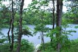 184 Fells Pond Road - Photo 1
