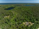 2950 Old Kings Highway - Photo 36