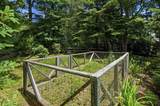 11 Tower Hill Drive - Photo 77