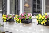 15 Vernon Street - Photo 6