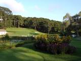 10 Old Colony Way - Photo 37
