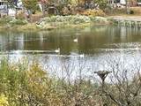 241 Seaward - Photo 48