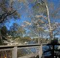 7 Cranberry Road - Photo 8