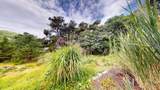 6 Pine Ridge End Road - Photo 69
