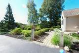 5 Luigi Avenue - Photo 44