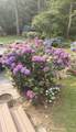 15 Tobisset Street - Photo 6
