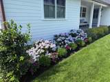 54 Buckley Road - Photo 83