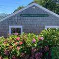 54 Buckley Road - Photo 87