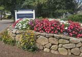 20 Hyannis Point Road - Photo 24