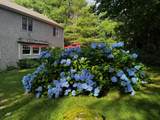 104 Woods Hole Road - Photo 4