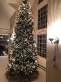 55 Signal Hill Drive - Photo 4