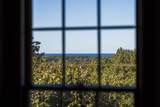 55 Signal Hill Drive - Photo 48