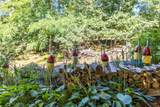 345 Cove Road - Photo 73