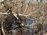32 Locust Road - Photo 8