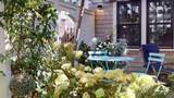 34 Pearl Street - Photo 35