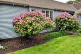 40 Youngs Farm Lane - Photo 64