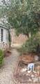 81 Adams Street - Photo 8