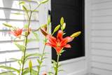 33 Duck Marsh Lane - Photo 5