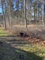 30 Sam Hollow Road - Photo 4