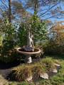 31 Ellisville Road - Photo 39