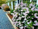 25 Frances Helen Road - Photo 44