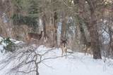 14 Bambi Way - Photo 58