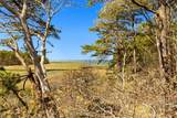 260 Blue Heron Road - Photo 54
