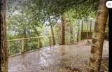 226 Pimlico Pond Road - Photo 7