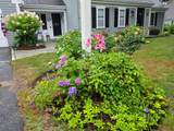 17 Captain York Road - Photo 31