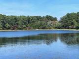 222 Buck Island-Unit 54 Road - Photo 40