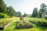 625 Bridge Road - Photo 83