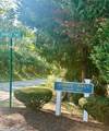 13 Harwich Pines - Photo 61