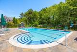 16 Gold Leaf Lane - Photo 48