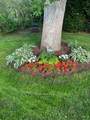 21 Brae Burn Lane - Photo 9