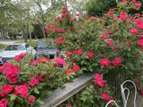 17 Shore Road - Photo 4