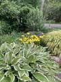 49 Great Hill Drive - Photo 40
