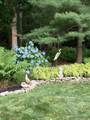 49 Great Hill Drive - Photo 41