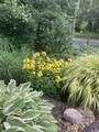 49 Great Hill Drive - Photo 47