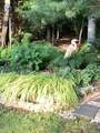 49 Great Hill Drive - Photo 48