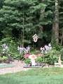 49 Great Hill Drive - Photo 49