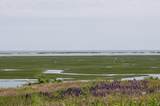 80 Runway Lane - Photo 41