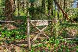 30 Rogers Road - Photo 46