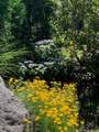 122 Salt Rock Road - Photo 9