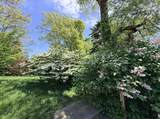 33 Jeanette Road - Photo 24